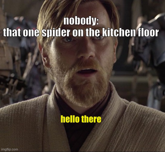 Obi Wan Hello There | nobody:
that one spider on the kitchen floor; hello there | image tagged in obi wan hello there | made w/ Imgflip meme maker