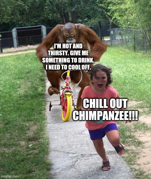 Chimpanzee | I'M HOT AND THIRSTY. GIVE ME SOMETHING TO DRINK. I NEED TO COOL OFF. CHILL OUT CHIMPANZEE!!! | image tagged in chimpanzee chasing little girl,memes,comments,comment,comment section,chimpanzee | made w/ Imgflip meme maker