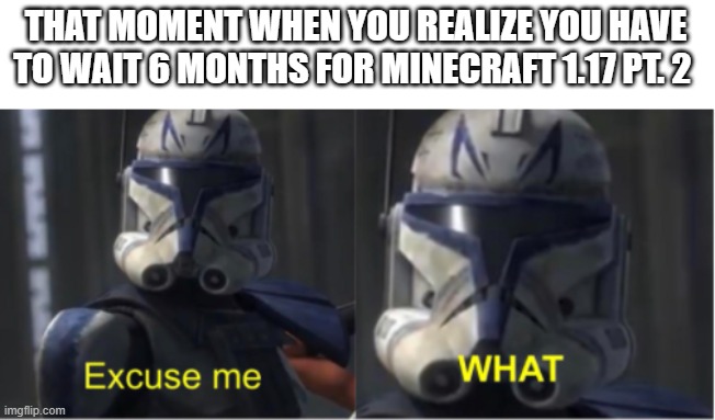 Excuse me what | THAT MOMENT WHEN YOU REALIZE YOU HAVE TO WAIT 6 MONTHS FOR MINECRAFT 1.17 PT. 2 | image tagged in excuse me what | made w/ Imgflip meme maker