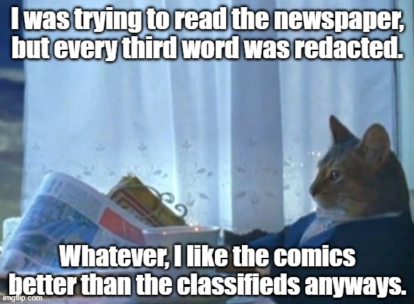 better than the classifieds | I was trying to read the newspaper, but every third word was redacted. Whatever, I like the comics better than the classifieds anyways. | image tagged in memes,i should buy a boat cat | made w/ Imgflip meme maker