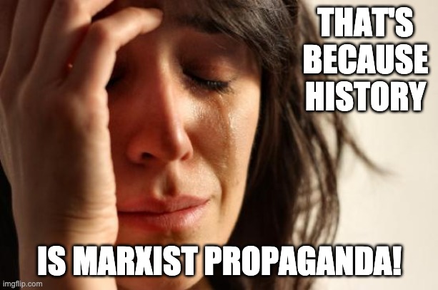 First World Problems Meme | THAT'S BECAUSE HISTORY IS MARXIST PROPAGANDA! | image tagged in memes,first world problems | made w/ Imgflip meme maker