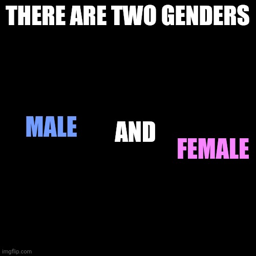 Blank Transparent Square Meme | THERE ARE TWO GENDERS; MALE; FEMALE; AND | image tagged in memes,blank transparent square | made w/ Imgflip meme maker
