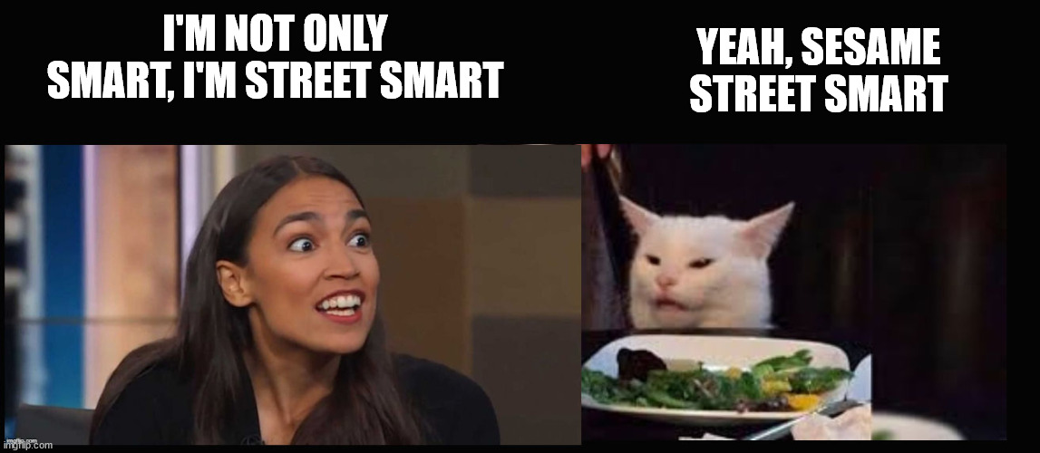 Smudge and AOC | YEAH, SESAME STREET SMART; I'M NOT ONLY SMART, I'M STREET SMART | image tagged in smudge and aoc | made w/ Imgflip meme maker