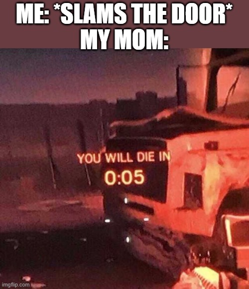 You will die in 0:05 | ME: *SLAMS THE DOOR*
MY MOM: | image tagged in you will die in 0 05,funny,memes,funny memes,funny meme,meme | made w/ Imgflip meme maker