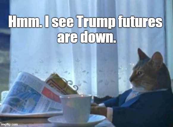Call My Broker | Hmm. I see Trump futures 
are down. | image tagged in memes,trump,futures | made w/ Imgflip meme maker