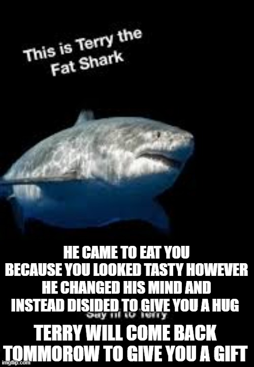 he wont bite | HE CAME TO EAT YOU BECAUSE YOU LOOKED TASTY HOWEVER HE CHANGED HIS MIND AND INSTEAD DISIDED TO GIVE YOU A HUG; TERRY WILL COME BACK TOMMOROW TO GIVE YOU A GIFT | image tagged in terry the fat shark | made w/ Imgflip meme maker