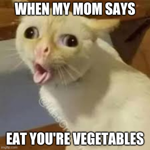 my mom vegetables | WHEN MY MOM SAYS; EAT YOU'RE VEGETABLES | image tagged in coughing cat | made w/ Imgflip meme maker