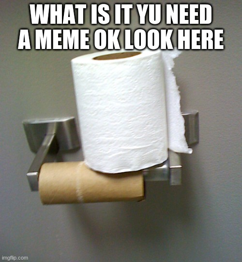 Toilet Paper Roll | WHAT IS IT YU NEED A MEME OK LOOK HERE | image tagged in toilet paper roll | made w/ Imgflip meme maker