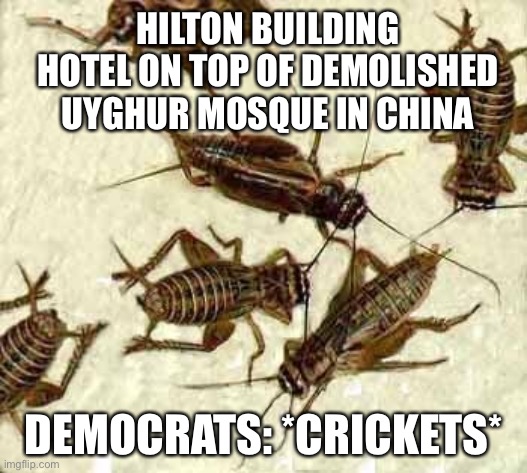 Hilton Building Hotel On Top Of Demolished Uyghur Mosque In China | HILTON BUILDING HOTEL ON TOP OF DEMOLISHED UYGHUR MOSQUE IN CHINA; DEMOCRATS: *CRICKETS* | image tagged in crickets,memes,china,muslim,democrats,silence | made w/ Imgflip meme maker