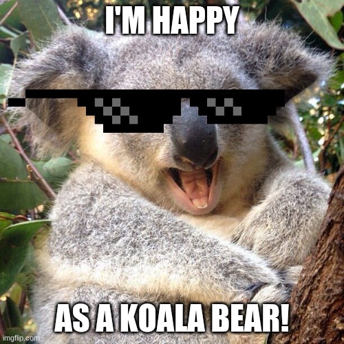 I'M HAPPY; AS A KOALA BEAR! | image tagged in cute animals | made w/ Imgflip meme maker