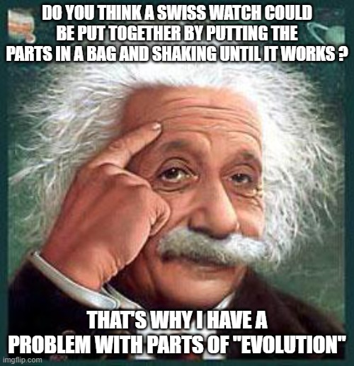 einstein | DO YOU THINK A SWISS WATCH COULD BE PUT TOGETHER BY PUTTING THE PARTS IN A BAG AND SHAKING UNTIL IT WORKS ? THAT'S WHY I HAVE A PROBLEM WITH PARTS OF "EVOLUTION" | image tagged in einstein | made w/ Imgflip meme maker