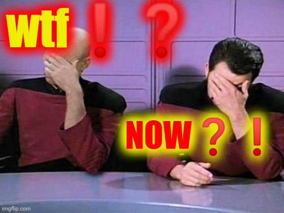 double palm | wtf❗❓ NOW❓❗ | image tagged in double palm | made w/ Imgflip meme maker
