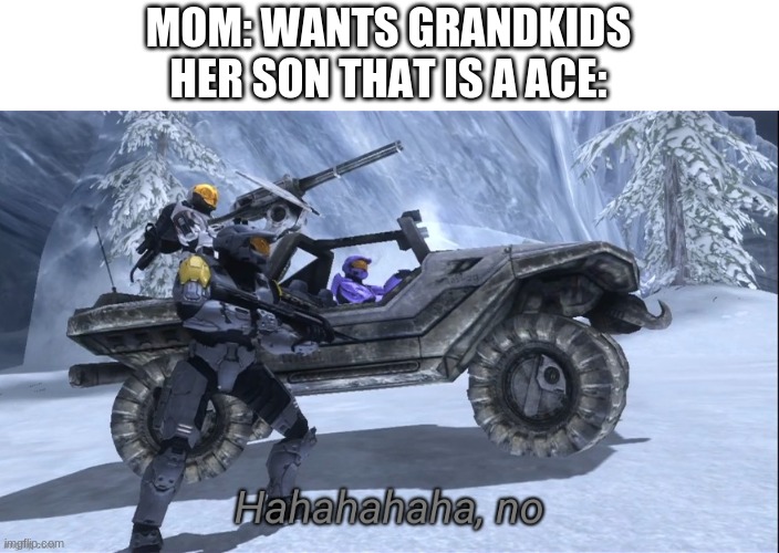 Haha no | MOM: WANTS GRANDKIDS
HER SON THAT IS A ACE: | image tagged in haha no | made w/ Imgflip meme maker
