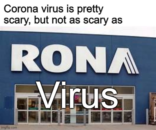 rona virus | Corona virus is pretty scary, but not as scary as; Virus | image tagged in rona store | made w/ Imgflip meme maker