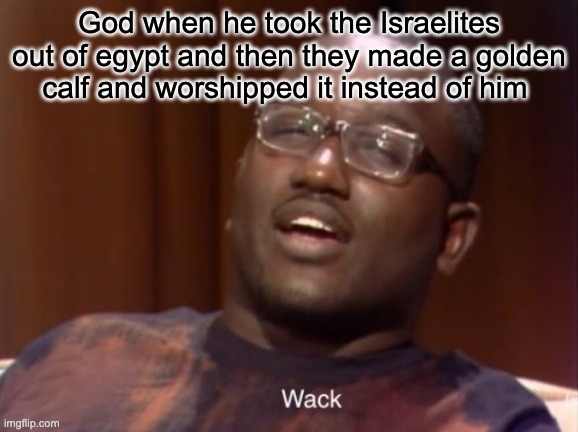 Wack |  God when he took the Israelites out of egypt and then they made a golden calf and worshipped it instead of him | image tagged in wack | made w/ Imgflip meme maker