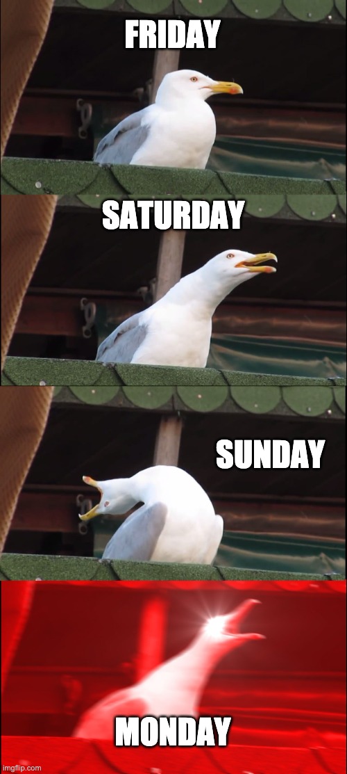 sunday sadness | FRIDAY; SATURDAY; SUNDAY; MONDAY | image tagged in memes,inhaling seagull | made w/ Imgflip meme maker