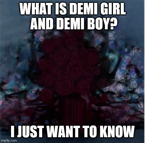 please could someone explain? thank you | WHAT IS DEMI GIRL
 AND DEMI BOY? I JUST WANT TO KNOW | image tagged in forevermore and nevermore cover art stage 3 act 1 | made w/ Imgflip meme maker