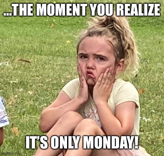 It’s only Monday | ...THE MOMENT YOU REALIZE; IT’S ONLY MONDAY! | image tagged in monday | made w/ Imgflip meme maker
