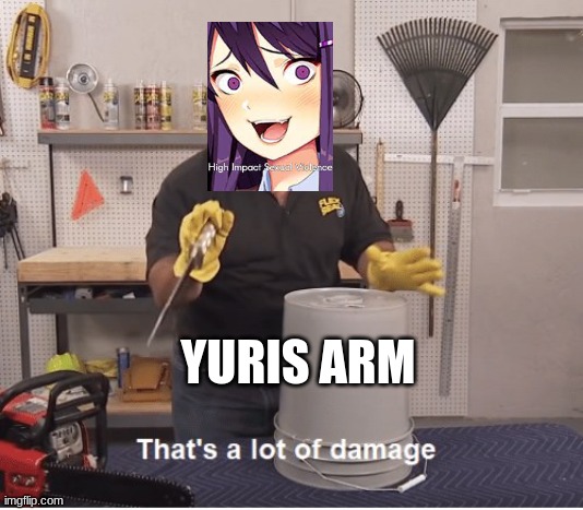 thats a lot of damage | YURIS ARM | image tagged in thats a lot of damage | made w/ Imgflip meme maker