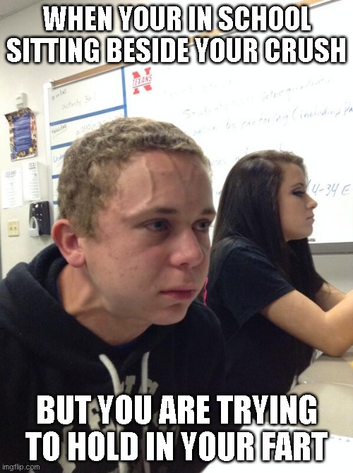 Sitting beside your crush | WHEN YOUR IN SCHOOL SITTING BESIDE YOUR CRUSH; BUT YOU ARE TRYING TO HOLD IN YOUR FART | image tagged in hold fart | made w/ Imgflip meme maker