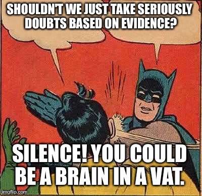 Batman Slapping Robin Meme | SHOULDN'T WE JUST TAKE SERIOUSLY DOUBTS BASED ON EVIDENCE? SILENCE! YOU COULD BE A BRAIN IN A VAT. | image tagged in memes,batman slapping robin | made w/ Imgflip meme maker