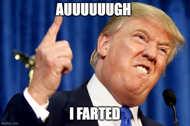 Donald Trump | AUUUUUUGH; I FARTED | image tagged in donald trump | made w/ Imgflip meme maker