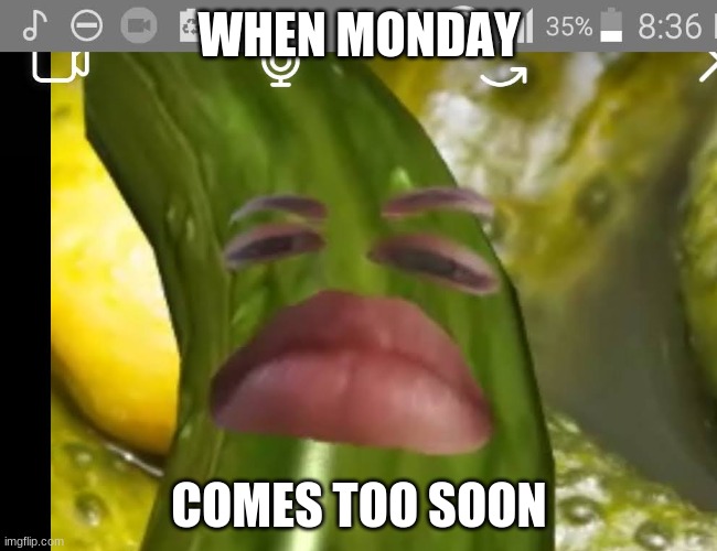 oof | WHEN MONDAY; COMES TOO SOON | image tagged in whatever | made w/ Imgflip meme maker