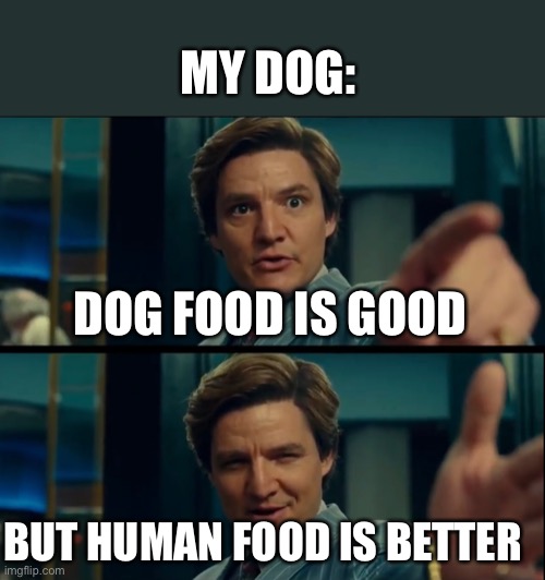my dog be like | MY DOG:; DOG FOOD IS GOOD; BUT HUMAN FOOD IS BETTER | image tagged in life is good but it can be better | made w/ Imgflip meme maker