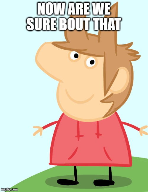 tord as peppa pig | NOW ARE WE SURE BOUT THAT | image tagged in tord as peppa pig | made w/ Imgflip meme maker