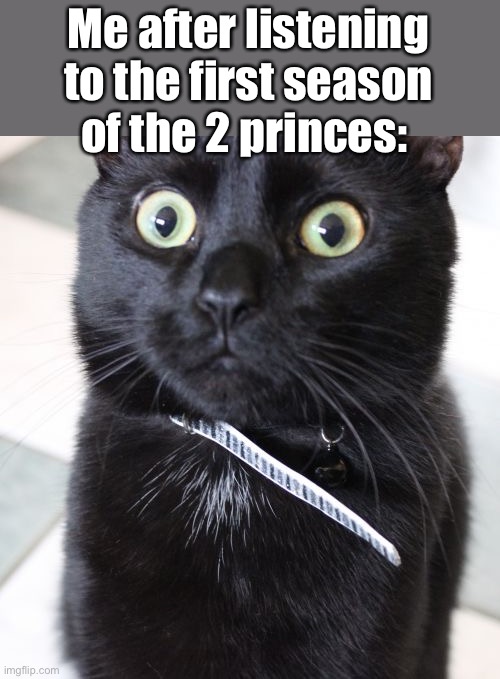 Woah Kitty Meme | Me after listening to the first season of the 2 princes: | image tagged in memes,woah kitty | made w/ Imgflip meme maker