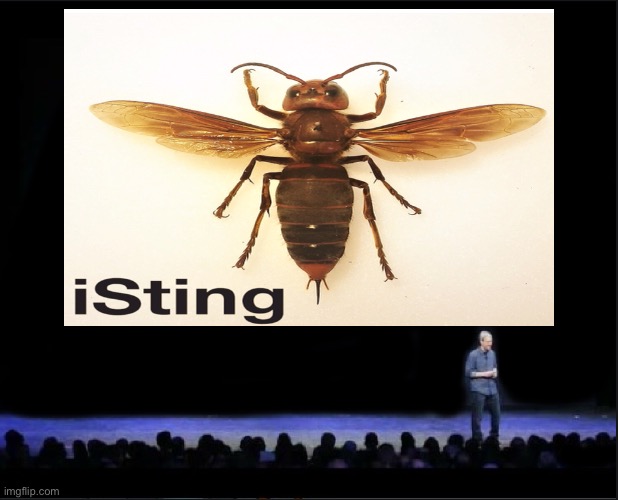 image tagged in apple,asian giant hornet,tim cook | made w/ Imgflip meme maker