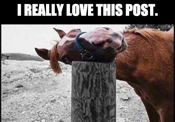 Post | I REALLY LOVE THIS POST. | image tagged in bad pun | made w/ Imgflip meme maker