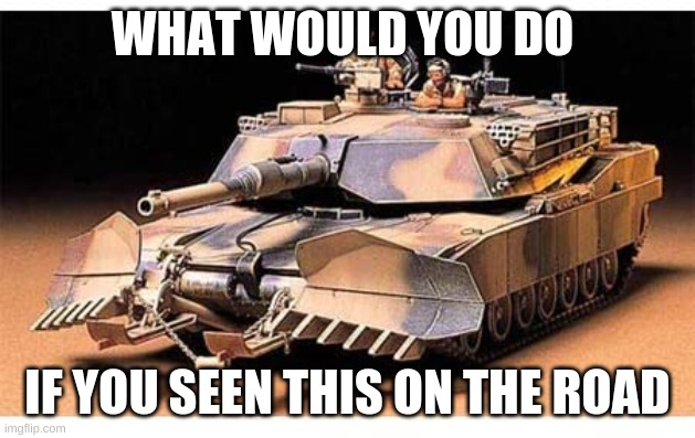 tank | WHAT WOULD YOU DO; IF YOU SEEN THIS ON THE ROAD | image tagged in funny,tank | made w/ Imgflip meme maker