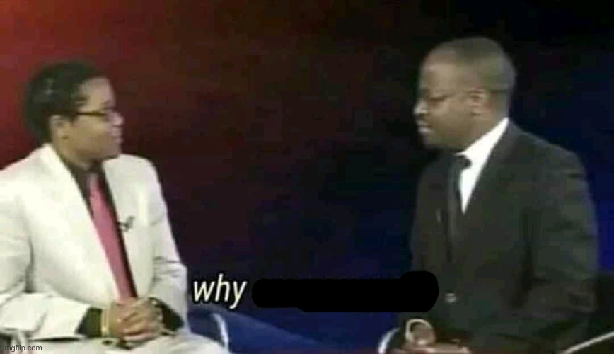Why are you gay? | image tagged in why are you gay | made w/ Imgflip meme maker