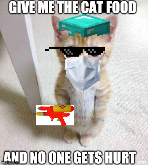 Cute Cat | GIVE ME THE CAT FOOD; AND NO ONE GETS HURT | image tagged in memes,cute cat | made w/ Imgflip meme maker