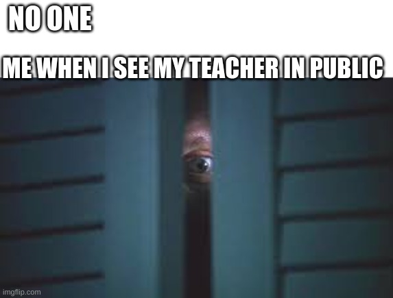 I Hide! | NO ONE; ME WHEN I SEE MY TEACHER IN PUBLIC | image tagged in funny,middle school,hide,teachers,memes | made w/ Imgflip meme maker