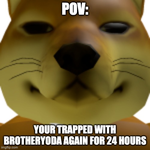 OP OCs are allowed, but not able to break out of the box. | POV:; YOUR TRAPPED WITH BROTHERYODA AGAIN FOR 24 HOURS | image tagged in what the heck is this | made w/ Imgflip meme maker