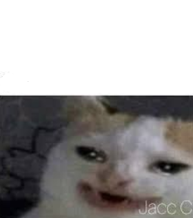 High Quality google sad cat Blank Meme Template