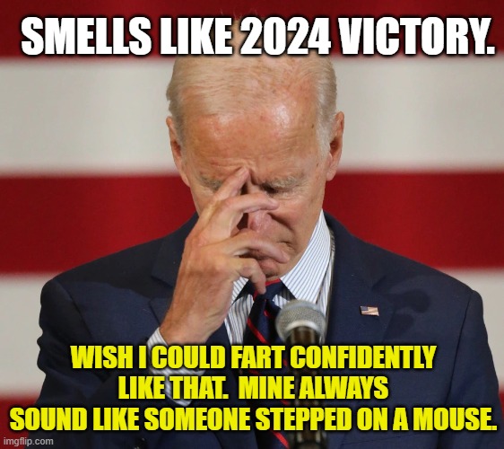 Confused Joe Biden | SMELLS LIKE 2024 VICTORY. WISH I COULD FART CONFIDENTLY LIKE THAT.  MINE ALWAYS SOUND LIKE SOMEONE STEPPED ON A MOUSE. | image tagged in confused joe biden | made w/ Imgflip meme maker