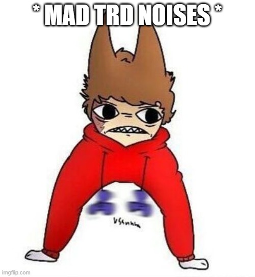 trd | * MAD TRD NOISES * | image tagged in trd | made w/ Imgflip meme maker