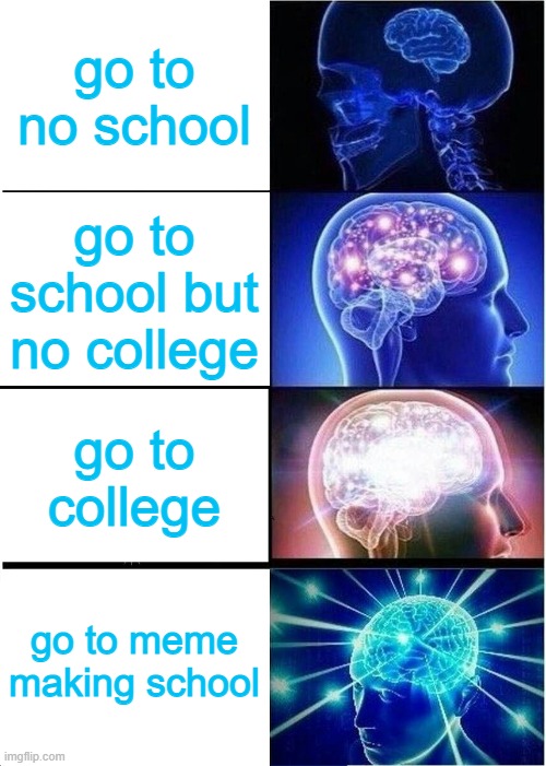 really i wish | go to no school; go to school but no college; go to college; go to meme making school | image tagged in memes,expanding brain | made w/ Imgflip meme maker