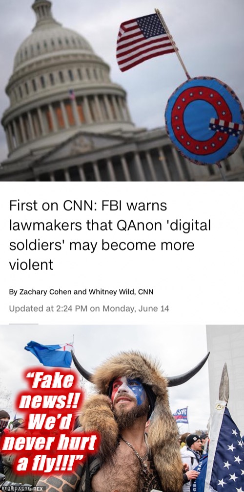 Now, in order to prove CNN as “fake news,” they’re going to have to be non-violent. Well played, CNN | “Fake news!! We’d never hurt a fly!!!” | image tagged in qanon terrorists,qanon shaman,cnn,cnn fake news,qanon,terrorists | made w/ Imgflip meme maker