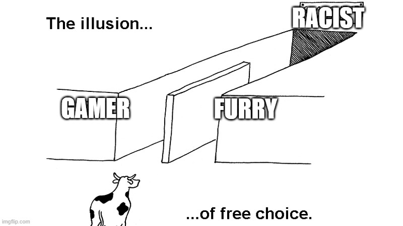 shitpost | RACIST; GAMER; FURRY | image tagged in the illusion of free choice,gamer,shitpost | made w/ Imgflip meme maker