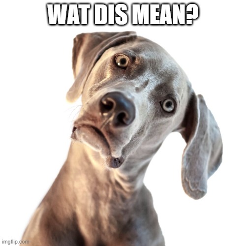 wat dis mean | WAT DIS MEAN? | image tagged in confused | made w/ Imgflip meme maker