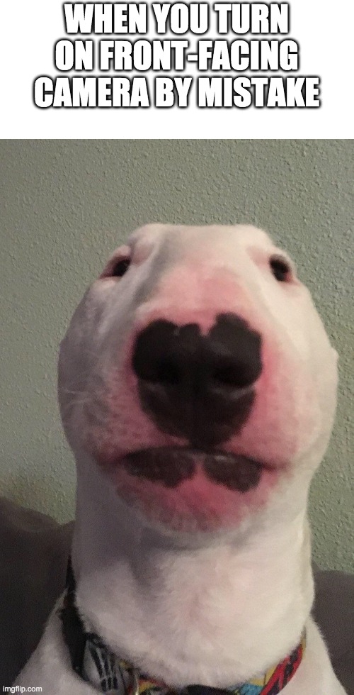 Walter | WHEN YOU TURN ON FRONT-FACING CAMERA BY MISTAKE | image tagged in walter | made w/ Imgflip meme maker