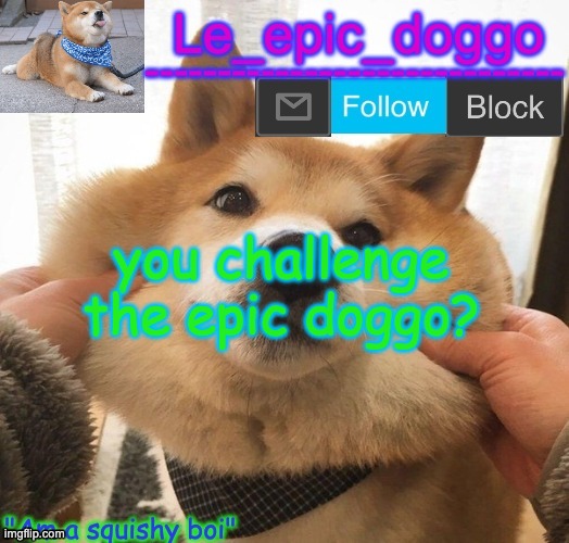 Am a squishy boi temp | you challenge the epic doggo? | image tagged in am a squishy boi temp | made w/ Imgflip meme maker