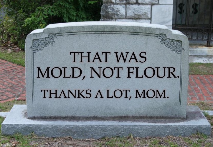 I’m not stupid mom. | THAT WAS MOLD, NOT FLOUR. THANKS A LOT, MOM. | image tagged in blank tombstone | made w/ Imgflip meme maker
