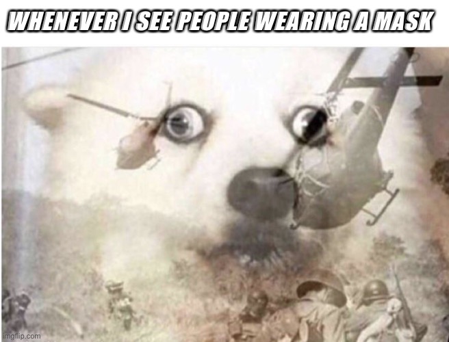 I’m starting to have flashbacks | WHENEVER I SEE PEOPLE WEARING A MASK | image tagged in blank white template,vietnam dog | made w/ Imgflip meme maker