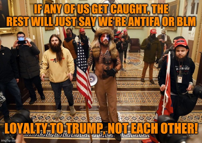 Capitol Buffalo guy | IF ANY OF US GET CAUGHT, THE REST WILL JUST SAY WE'RE ANTIFA OR BLM LOYALTY TO TRUMP, NOT EACH OTHER! | image tagged in capitol buffalo guy | made w/ Imgflip meme maker