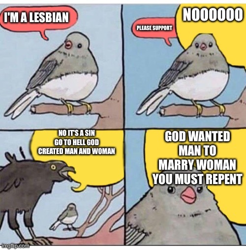 annoyed bird | NOOOOOO; I'M A LESBIAN; PLEASE SUPPORT; NO IT'S A SIN GO TO HELL GOD CREATED MAN AND WOMAN; GOD WANTED MAN TO MARRY WOMAN YOU MUST REPENT | image tagged in annoyed bird,lgbtq,lesbian,homophobia,funny,memes | made w/ Imgflip meme maker
